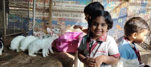 IMG_20231209_101149_result